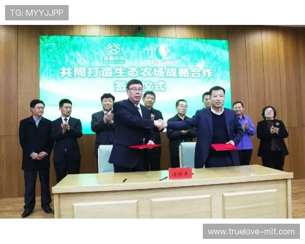 讴歌企业家勇于创新担当推动时代进步与社会繁荣的力量绚丽之歌